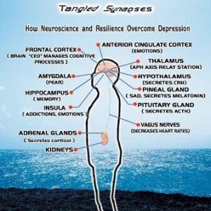 Tangled synapses